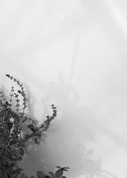 http://www.yannh.ch/files/gimgs/43_haeberlin06.jpg