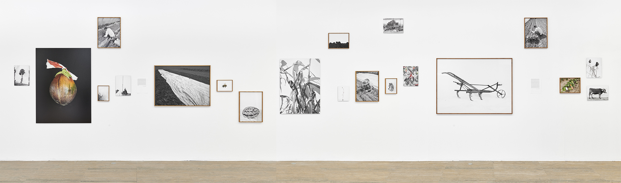 http://www.yannh.ch/files/gimgs/43_photoexpo.jpg